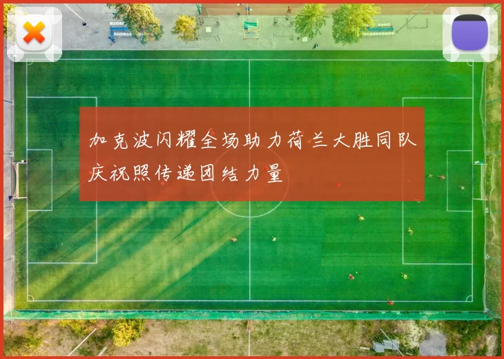 加克波闪耀全场助力荷兰大胜同队庆祝照传递团结力量