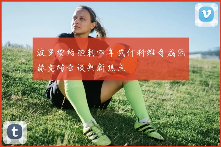 波罗续约热刺四年武什科维奇成范赫克转会谈判新焦点